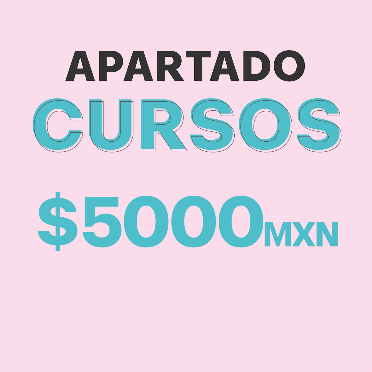 APARTADO CURSOS $5000