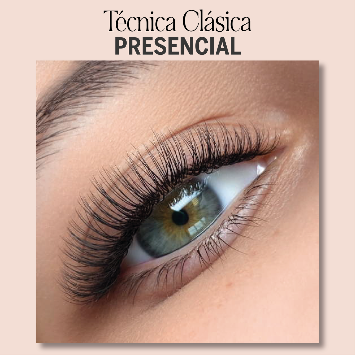Clásicas en tendencia e introducción al volumen tecnológico