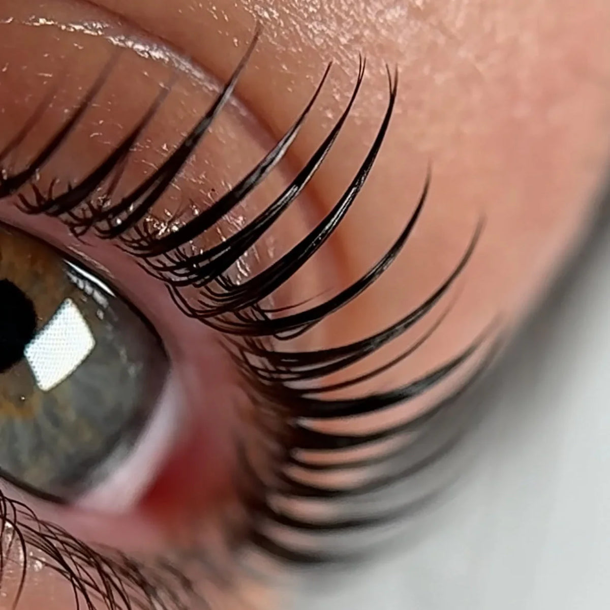 Miko Korean Lash Lift System Starter Kit