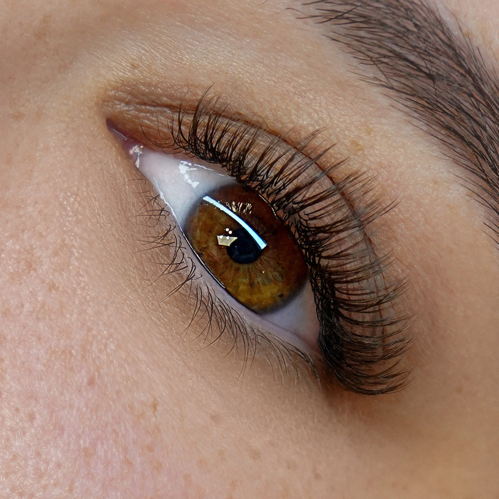 Mocha Brown 0.03 Largo Único - Cashmere Favorite