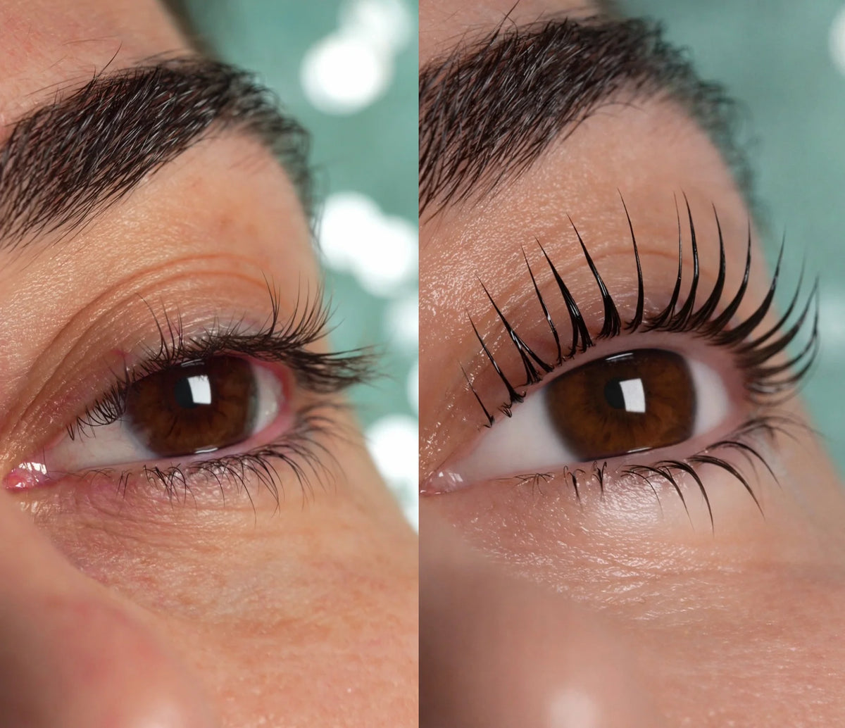 Miko Korean Lash Lift System Starter Kit